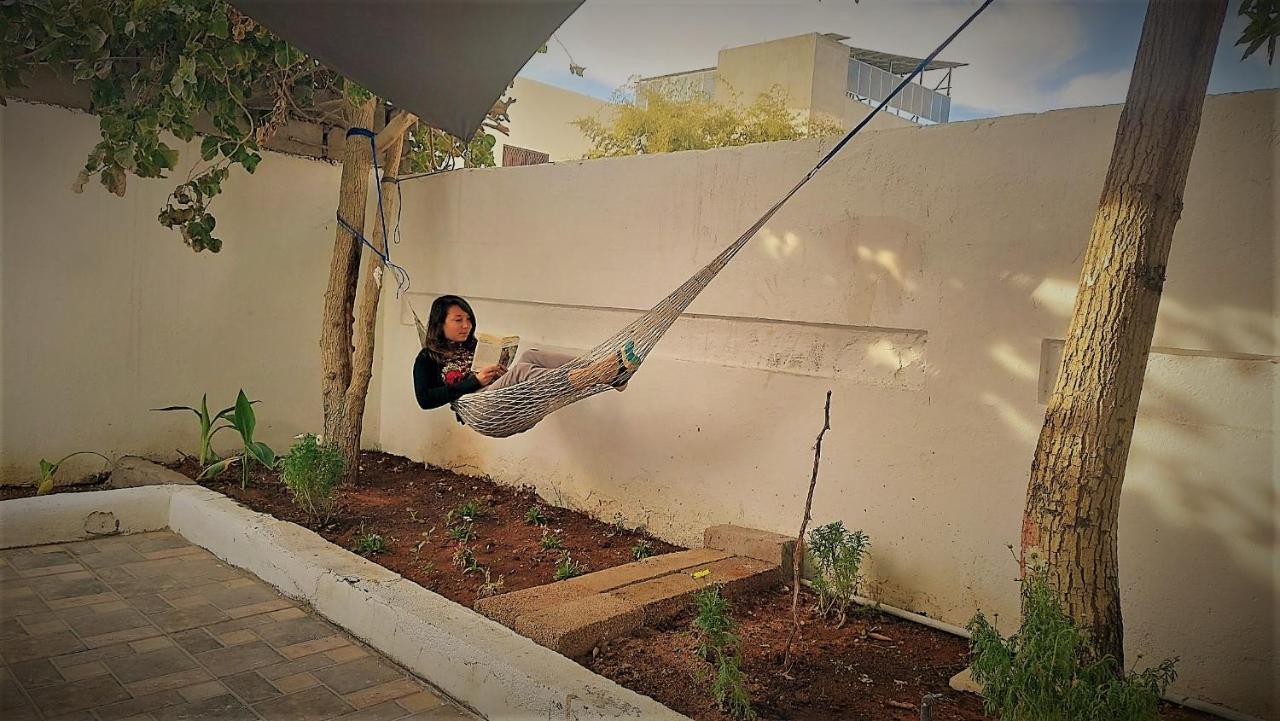 Mango Haus Hostel Akaba Kültér fotó